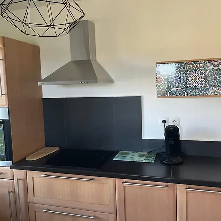 T3 Vignes & Terrasse 25 M2 Au Calme - Vue Verdoyante - A 7 Min De La - Parking Gratuit -
